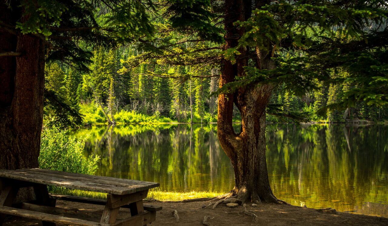 Loving Your Local Environment