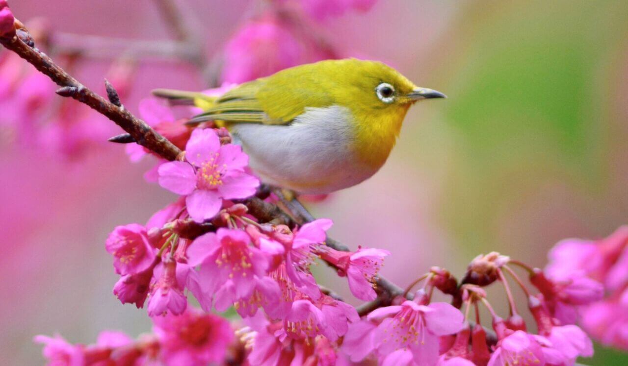 Méditation Antistress | Pratique 2