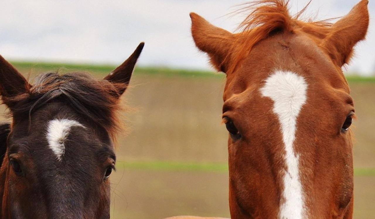 Caring Without Carrying