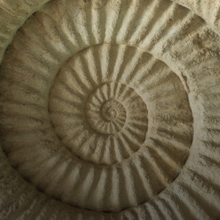 ¿Por qué no me Funciona?