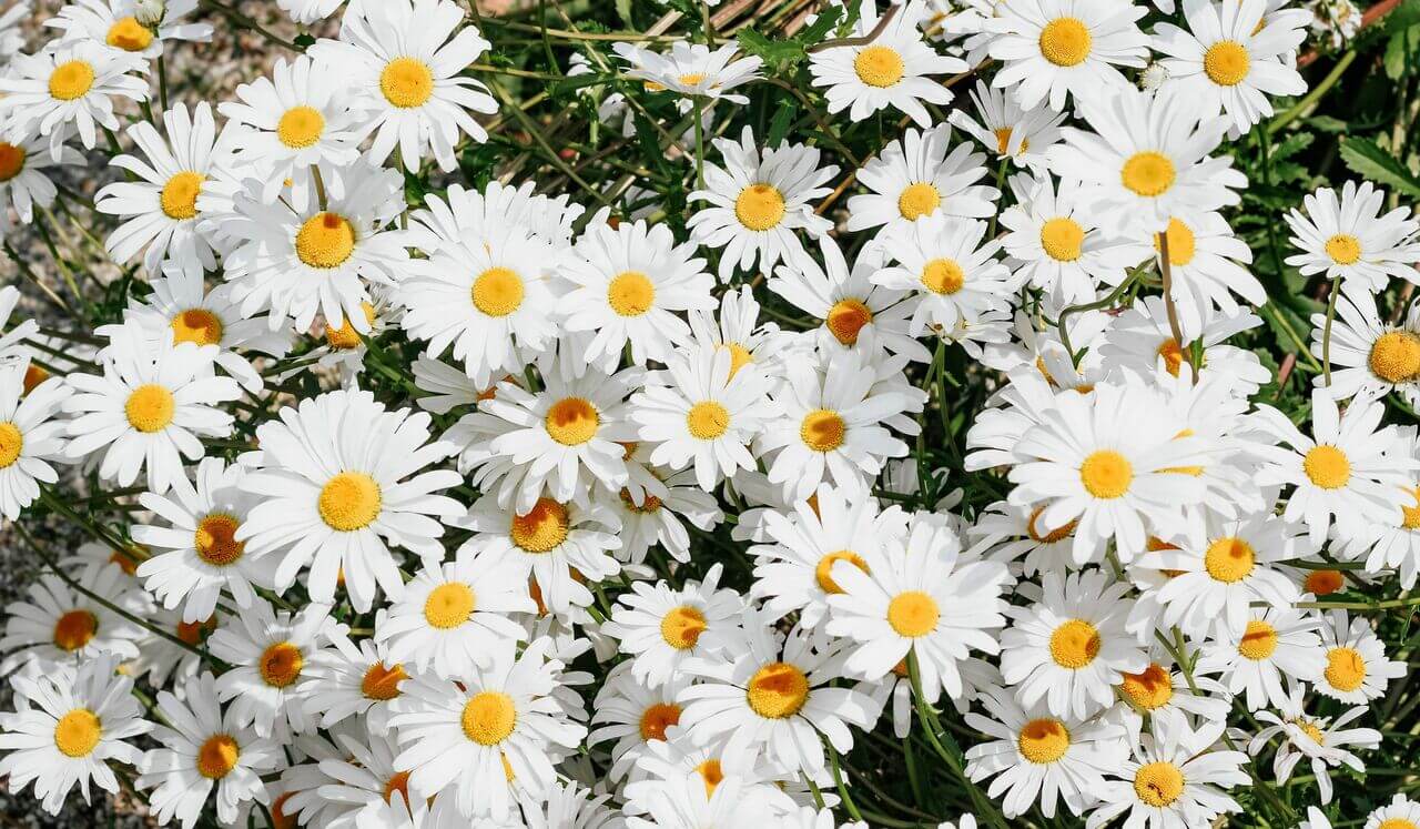 How To Invoke Happy Surprises