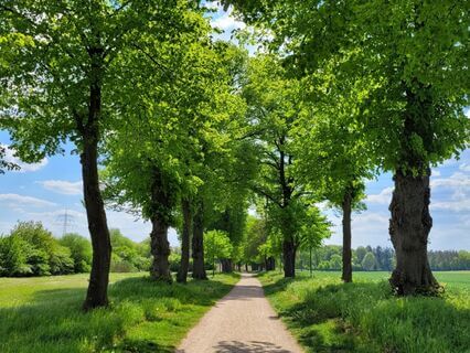 Körper, Emotionen & Gedanken spüren