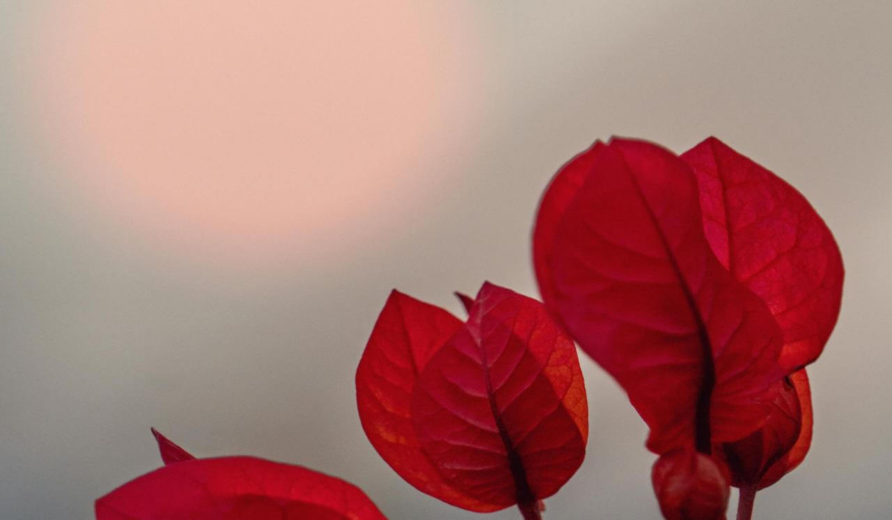 Energía Positiva Para Empezar El Dia