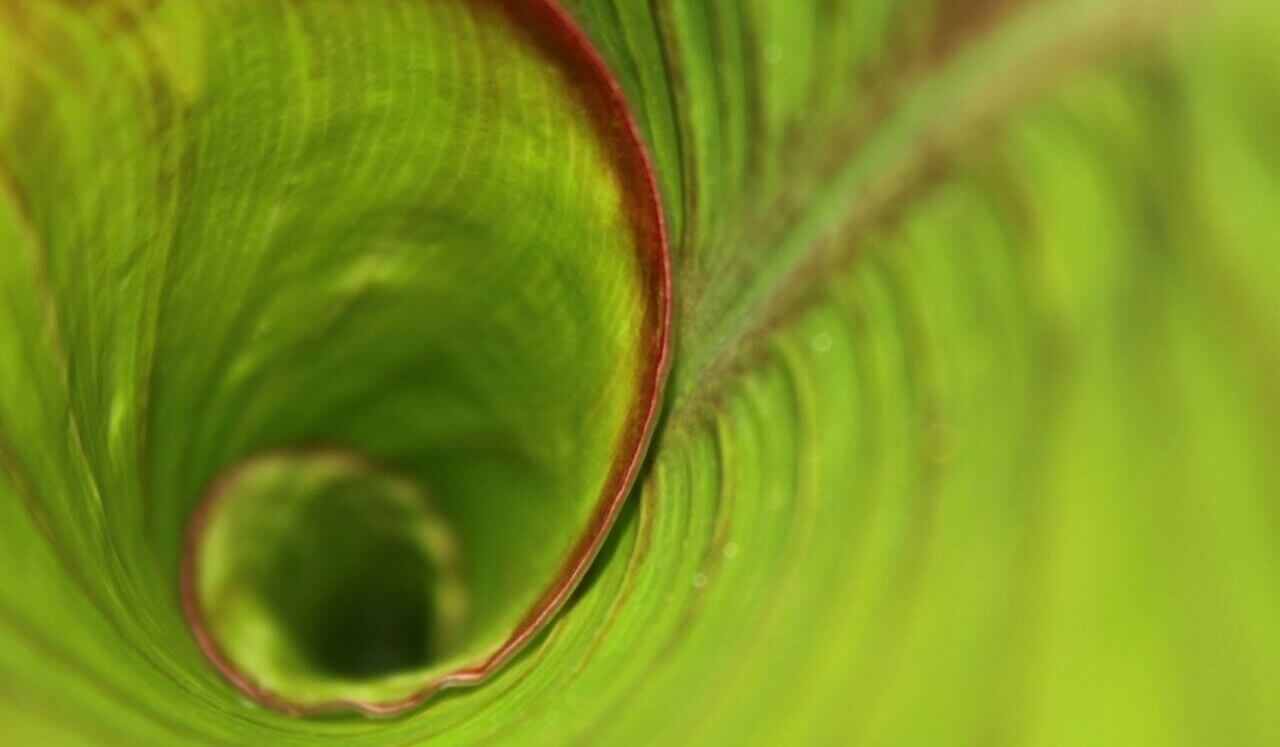 EMDR Spiral For Distress Relief