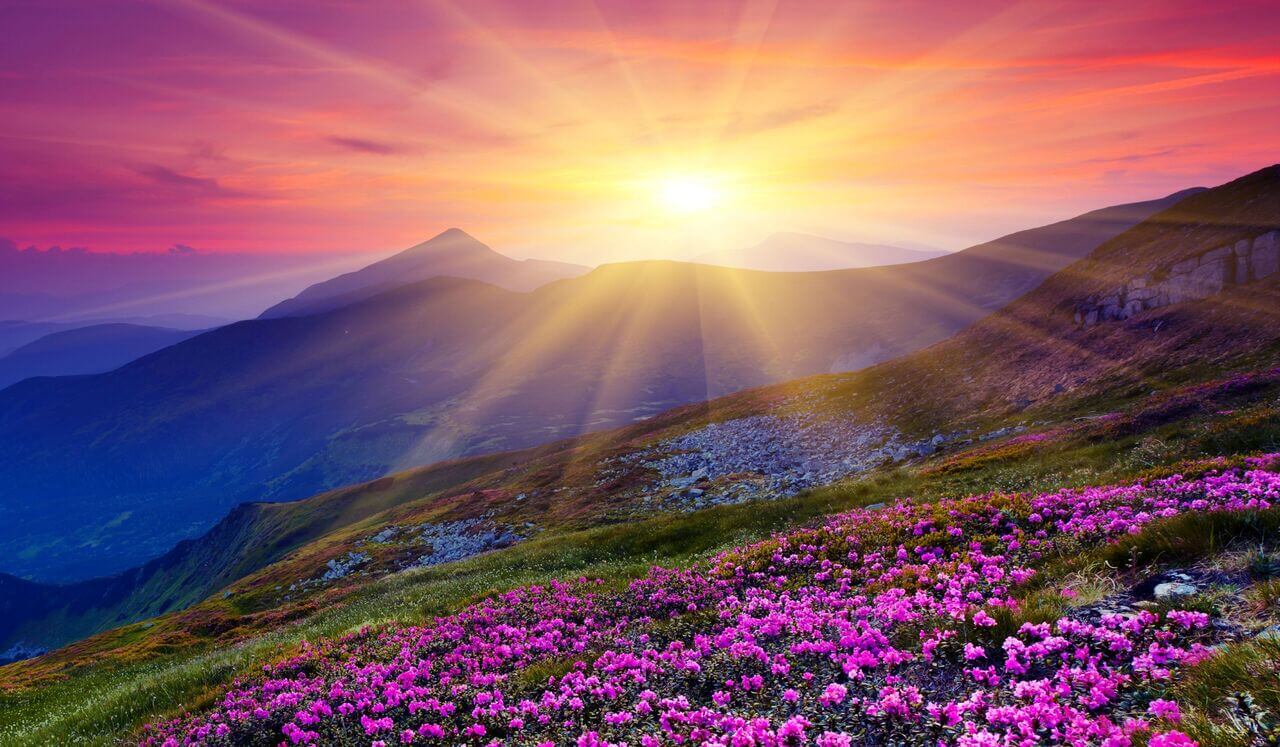 Melatonin Magic Deep Sleep: With 528Hz Aura Cleansing