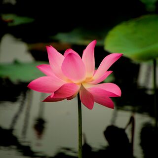 Immerse Yourself In Unbreakable Love For God | Beth Bradford