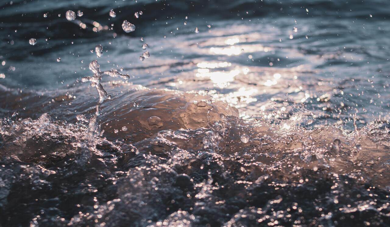 Aprenda a Gerir as Emoções