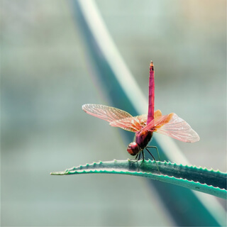 Teens: Discover Your Source Of Personal Power