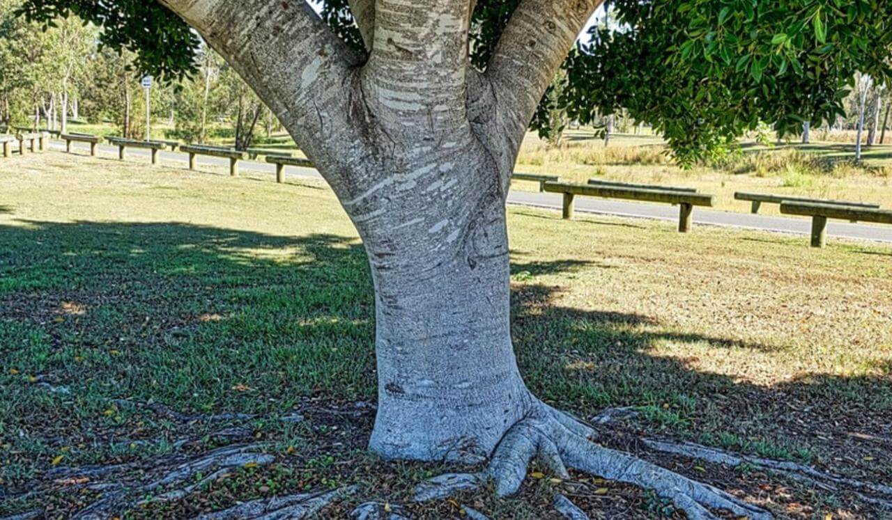 Breaking People Pleasing Patterns