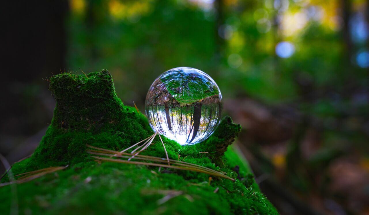 Warriors, Guardians, Protectors