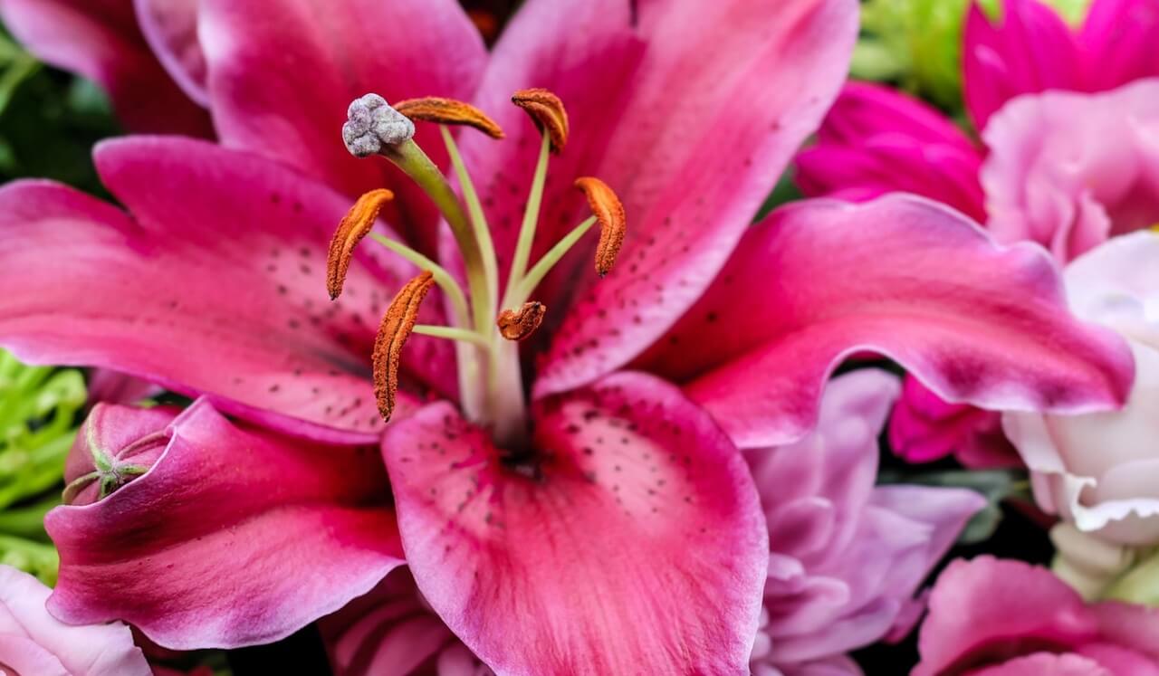 Grief Acknowledgement Meditation