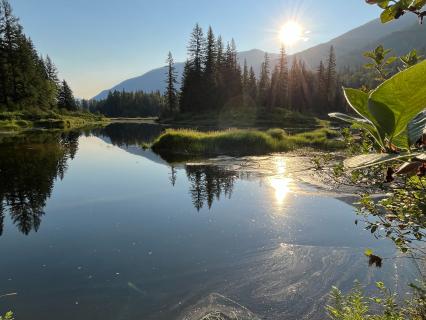 The Anxious Mind Reset Course - by Sequoia Henning
