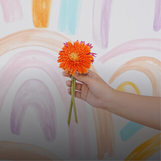 Conócete y Aprende a Vivir