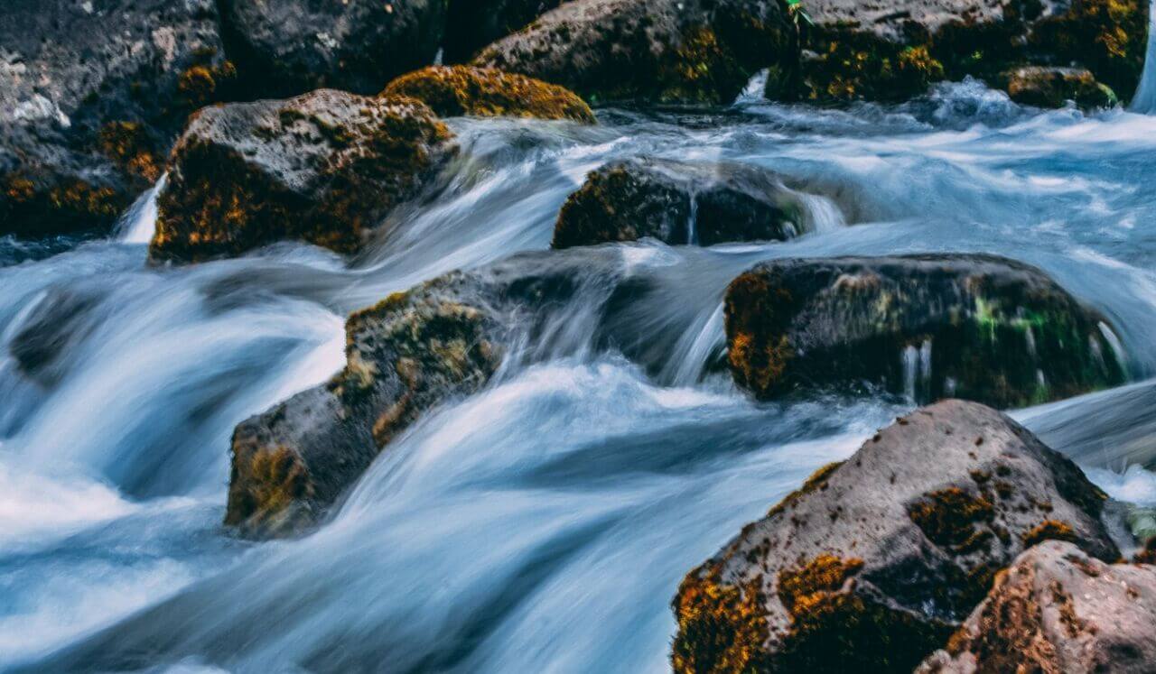 Release Trauma Signals - Blaming