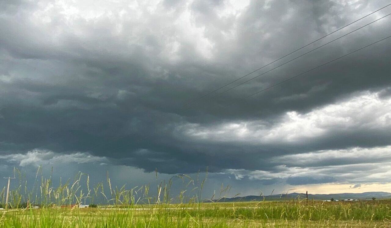 Release Trauma Signals - Overwhelm