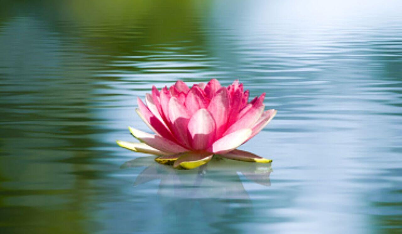 Release Anxiety: Deep Sleep Sound Healing 1hr