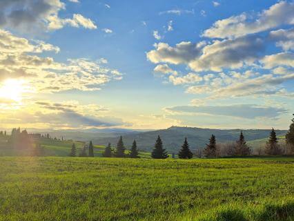 Health In Balance: Discovering The Sources Of Your Wellbeing - by Julius Pieth