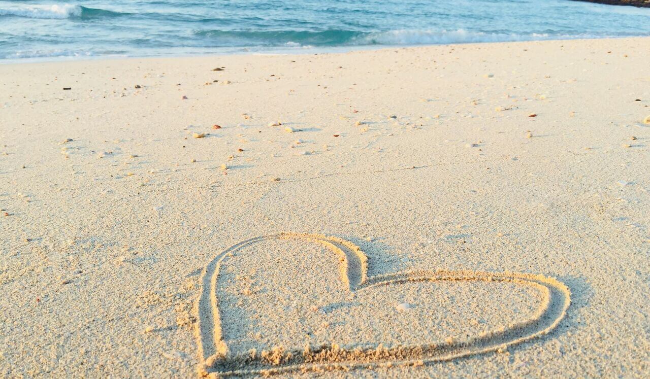 De Wijsheid Van Het Hart