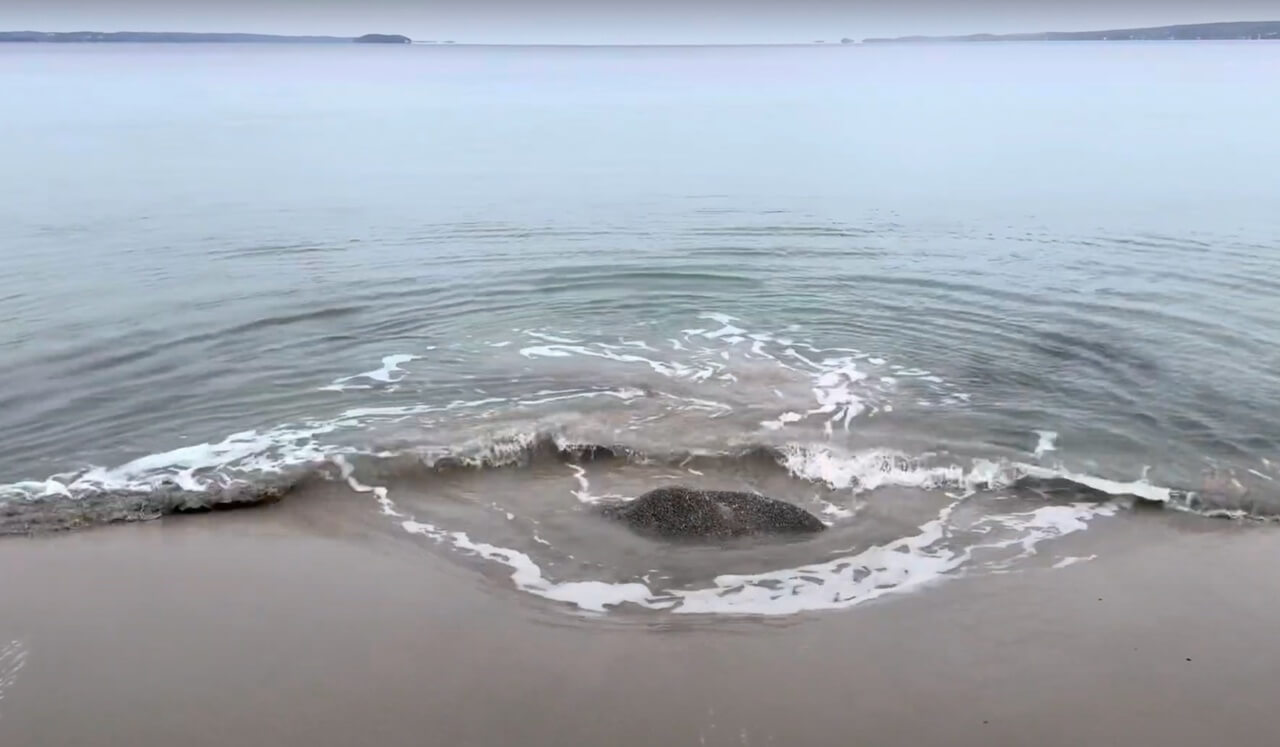 Yoga Nidra For After An Anxiety Attack