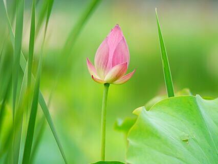 Calm Mind, Strong Heart: Managing Anxiety With Self-Compassion And Mindfulness - by Yaima (Green Witch Meditation Guide)