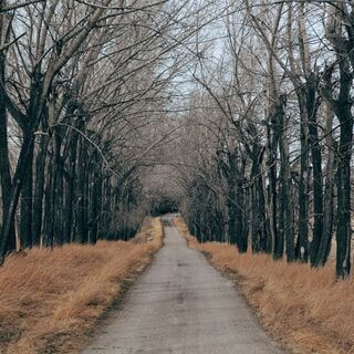 Reprogramando o meu Cérebro