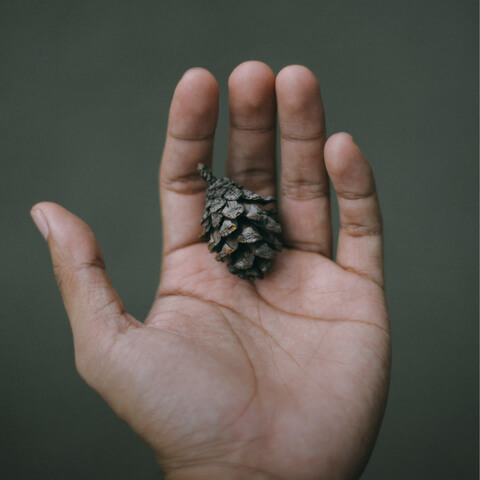 Powerful Insights For Personal Evolution