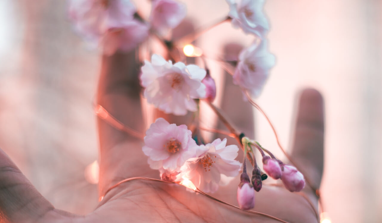 Embracing Life, Death & Impermanence