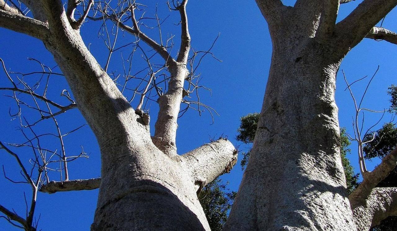 Sacred Presence: Being With Another Without Losing Yourself