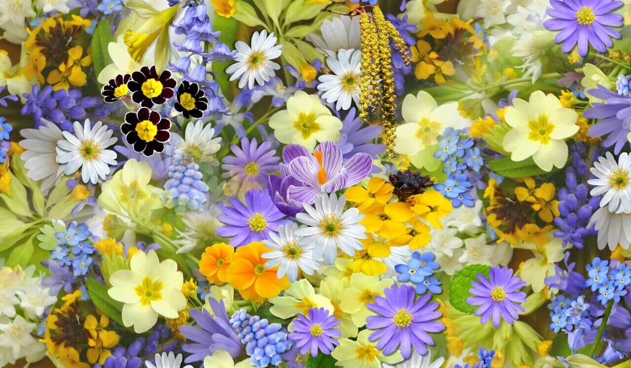 Le Jardin De La Gratitude