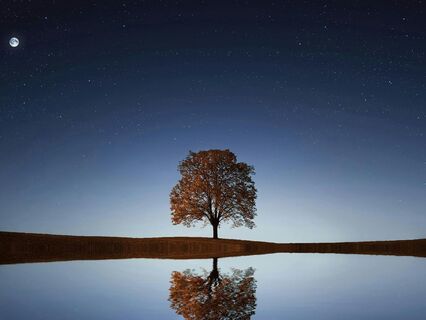 The Power Of Silence For A Happy And Stress-Free Life - by Michael Murphy