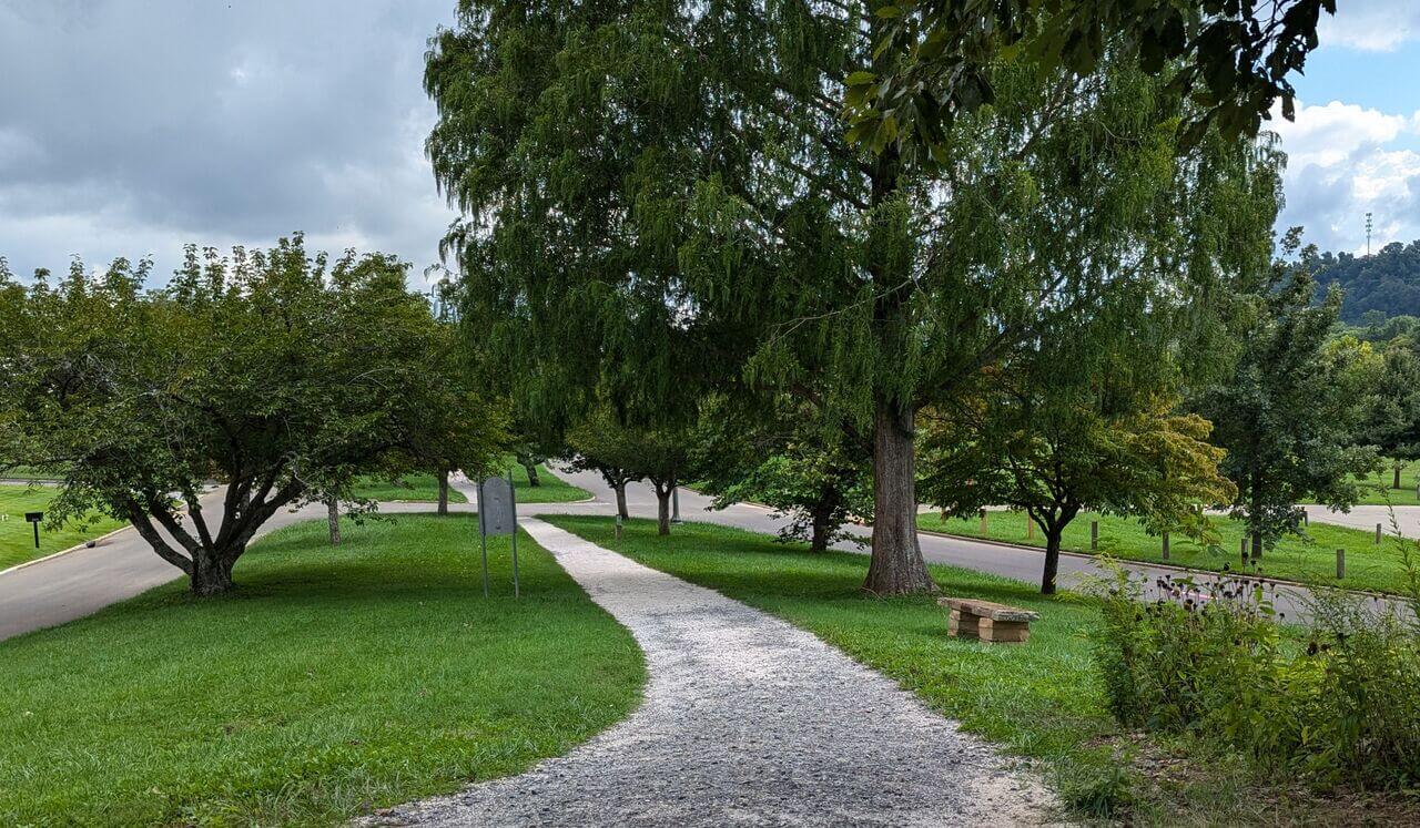 Rooting Into Presence