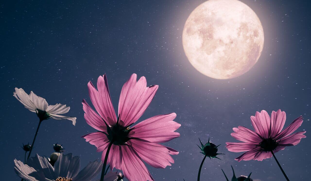 The Ultimate Guide To Deep Sleep: Unlock The Power Of Rest And Transformation