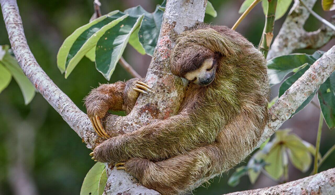 Sound Shower: 285 Hz Regenerative Deep Sleep Flow