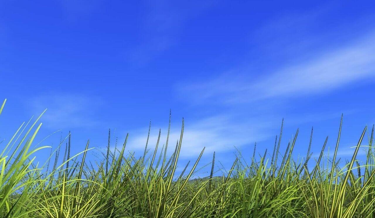 Release Trauma Signals - Humiliation