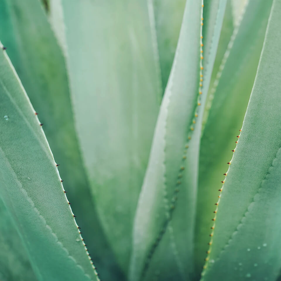 Научись медитировать за 7 дней