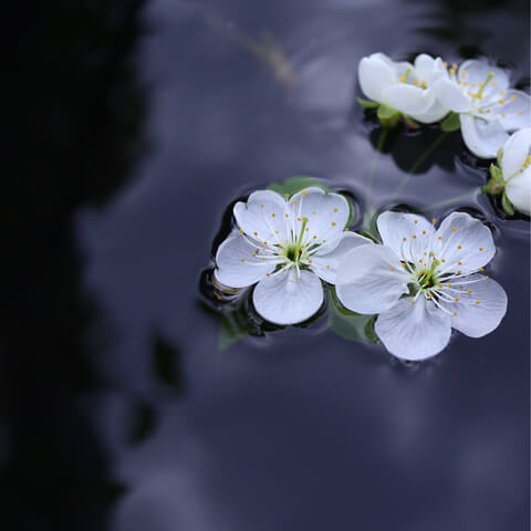 Working With Jealousy