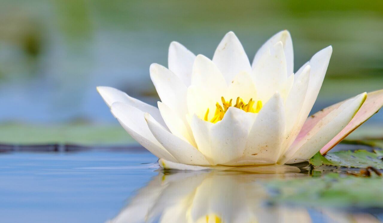 Yoga Nidra Chakra Balance: Sleep Healing