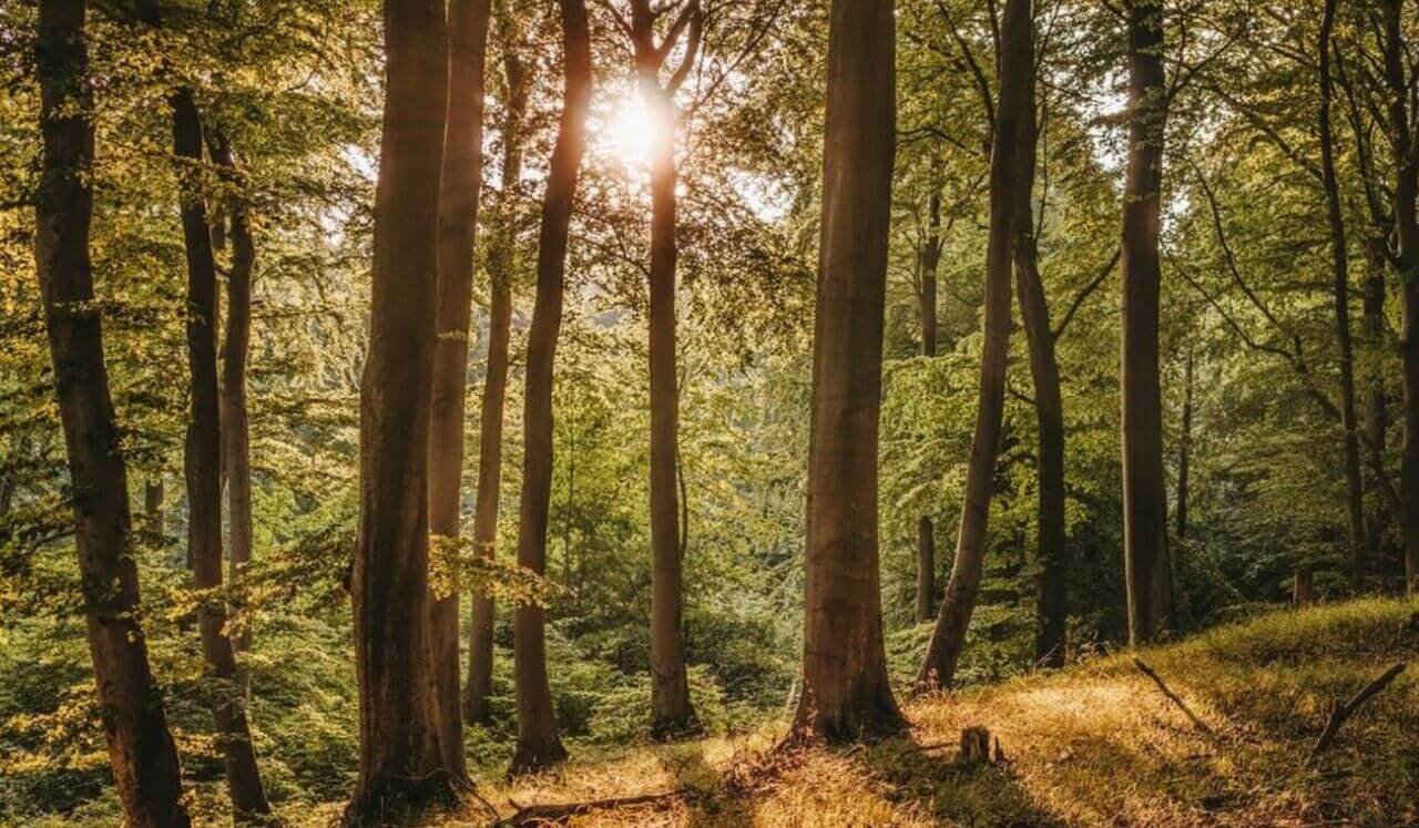 Meditación para volver a ti