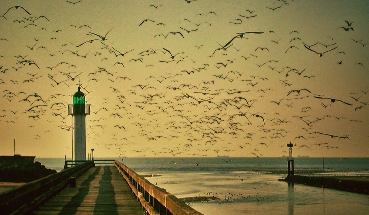 Level 2 Reiki Practice: Connection With All That Is