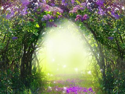 The Stories We Tell Ourselves: Rewriting Your Inner Narrative - by Juli Hammersley