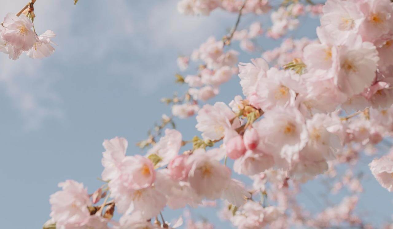 In Harmony With Nature | Rest & Sleep