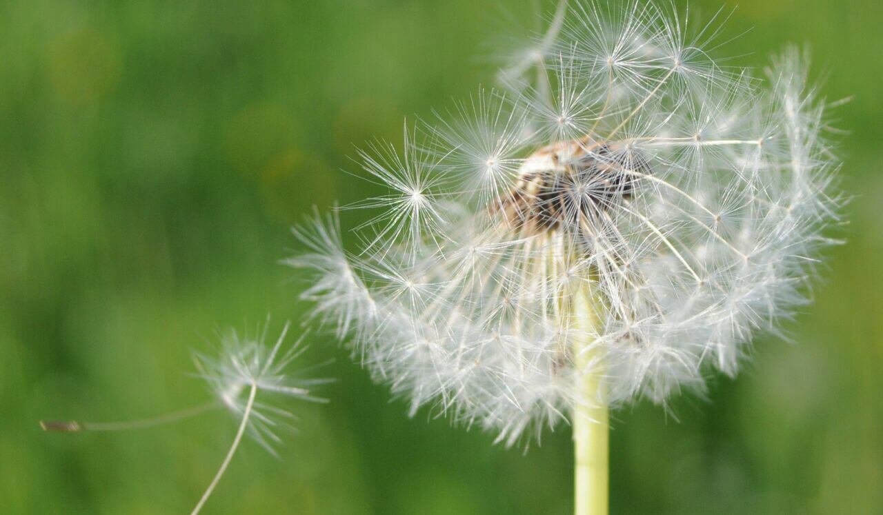 Foundations: Clearing Breath