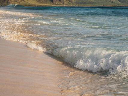 The Wisdom Of Rest: Ancient Wisdom, Modern Science, Practical Calm - by Juli Hammersley