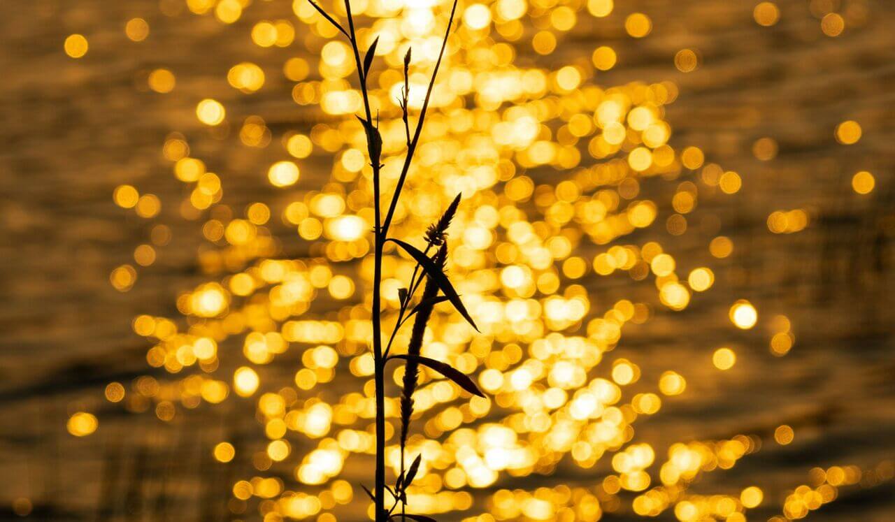 Return To Your True Frequency