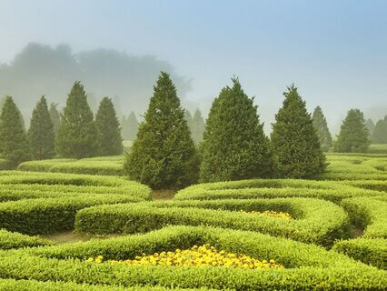 The Art Of Acceptance: Finding Peace When Life Doesn’t Go Your Way - by Anisha Maheshwari