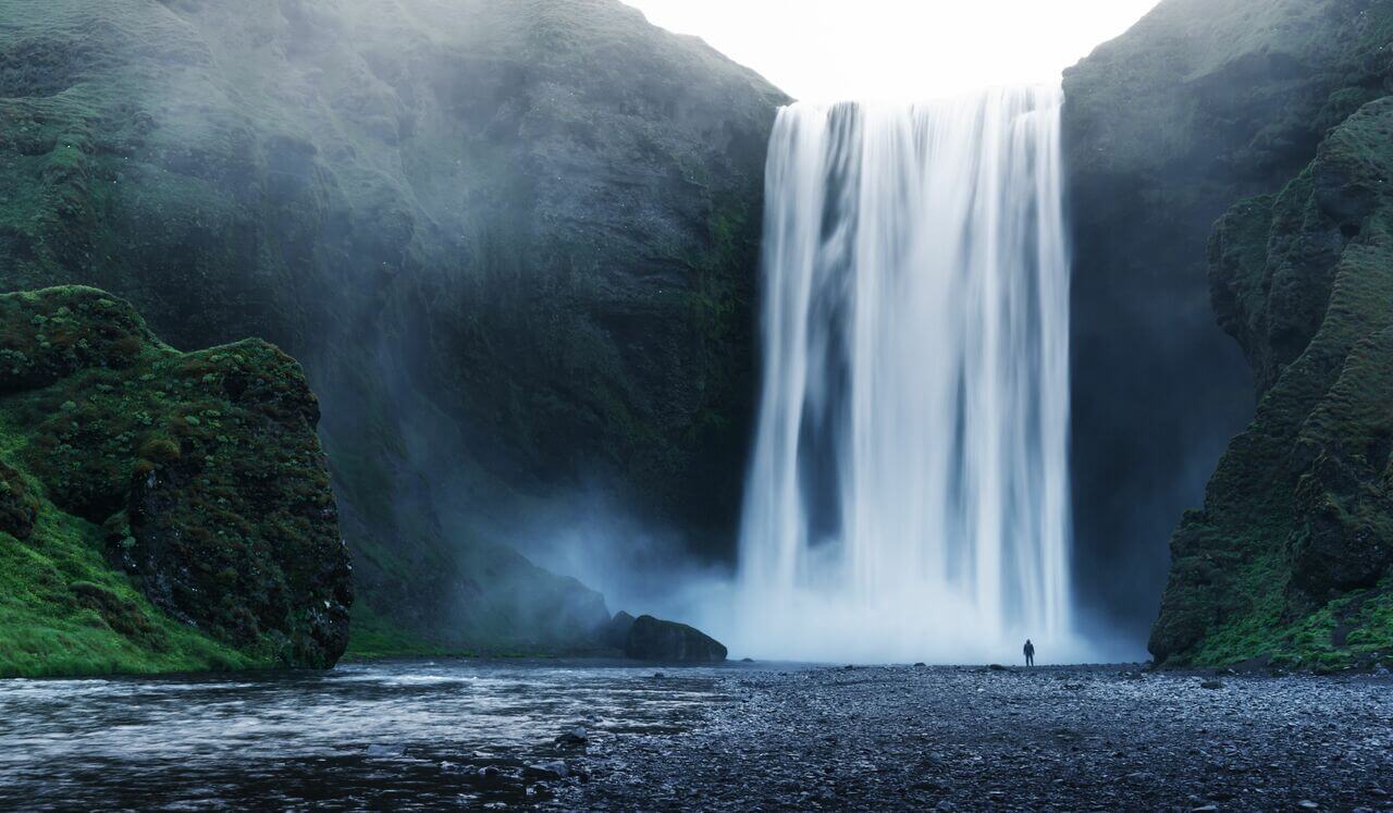 Activate Abundance By Embodying The Energy Of Gratitude