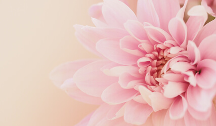 Grow Your Self-Esteem - by Lai Tattis