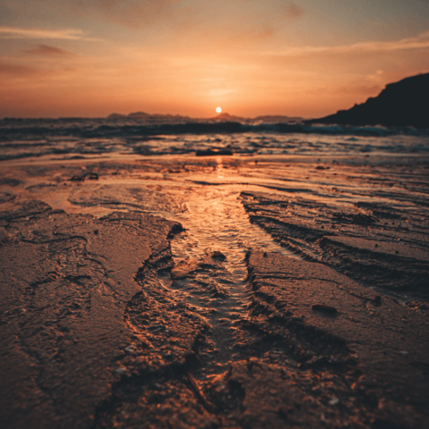 Diventa la Persona che Vuoi Essere