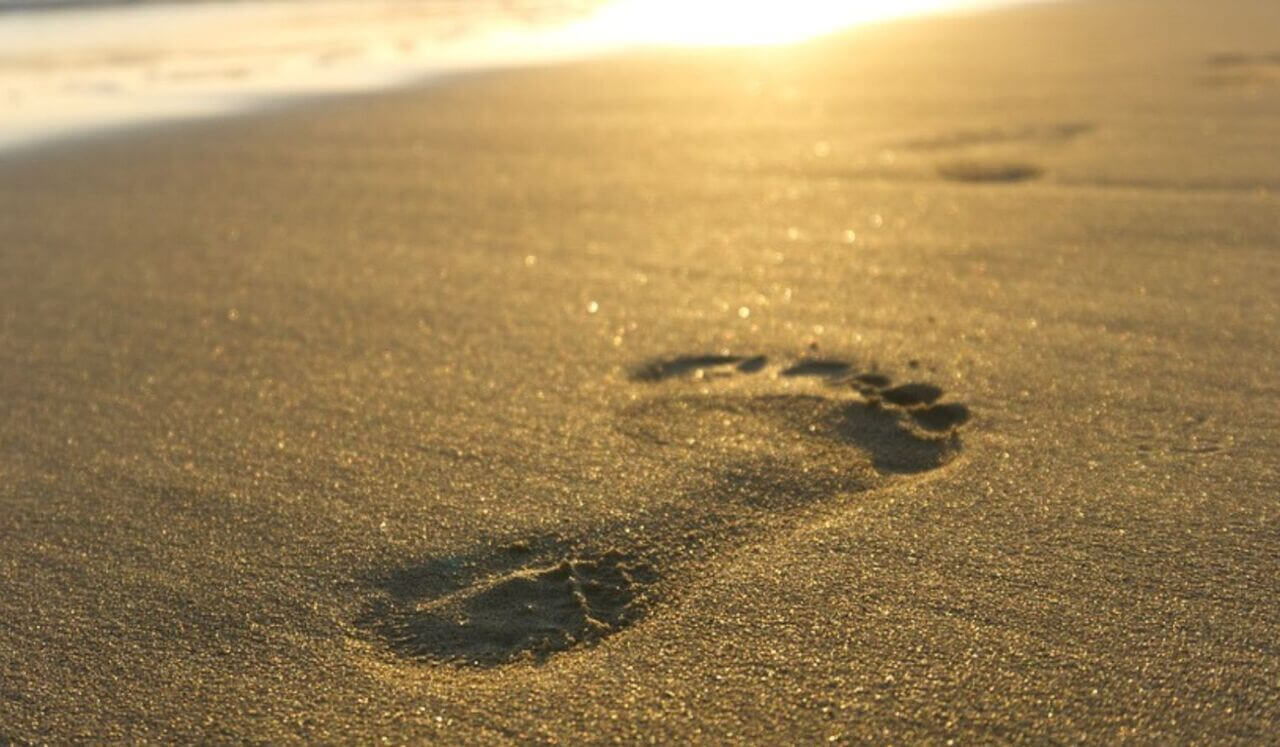 Psalm For The Veterans