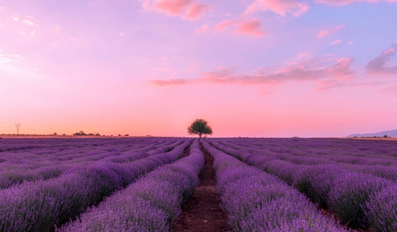 Release Tension For Deep Sleep